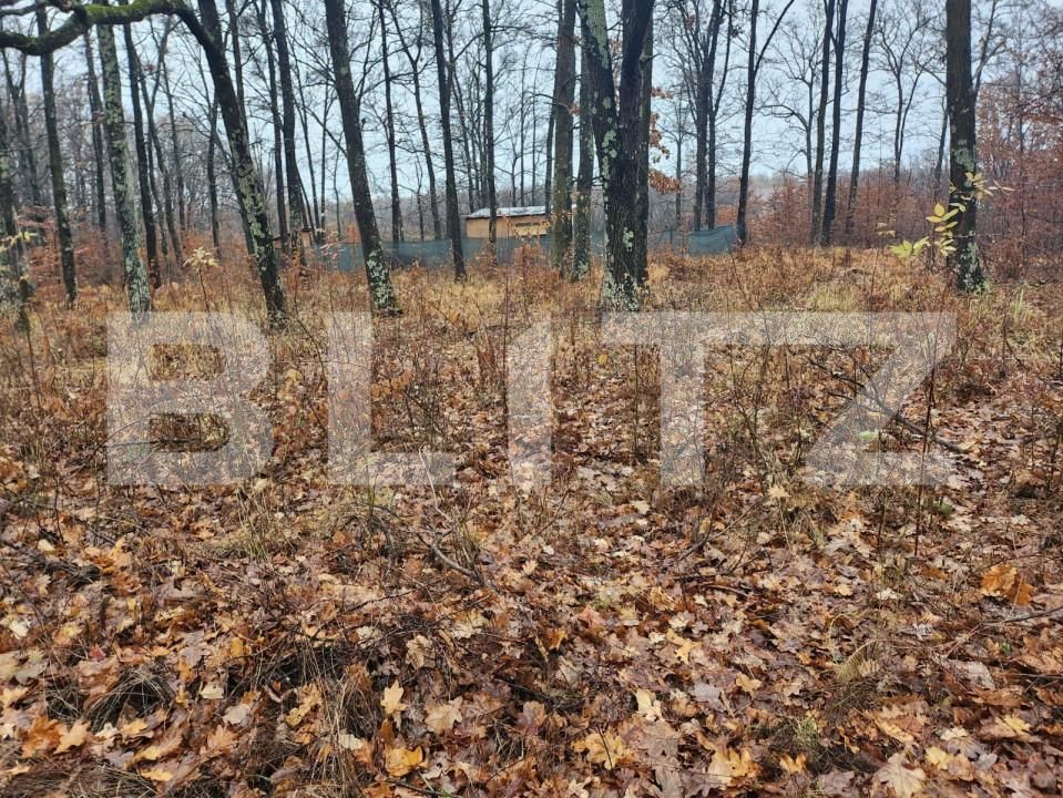 Teren de vânzare Smeura - 152339TV | BLITZ Pitești | Poza3