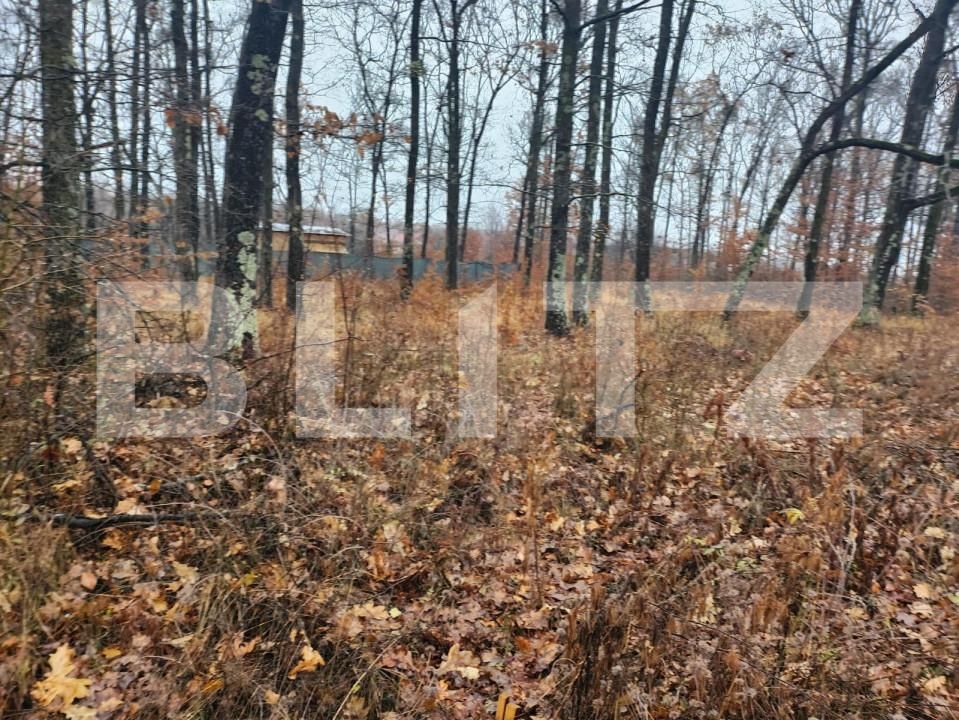 Teren de vânzare Smeura - 152339TV | BLITZ Pitești | Poza2