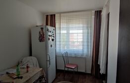 Apartament de vanzare 3 camere Trivale 