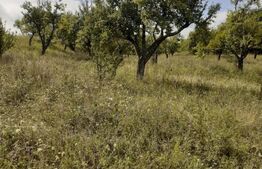 Teren extravilan, 20000 mp, Valea Danului 