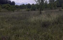 Teren extravilan, 20000 mp, Valea Danului 