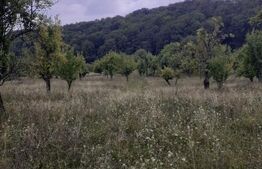 Teren extravilan, 20000 mp, Valea Danului 