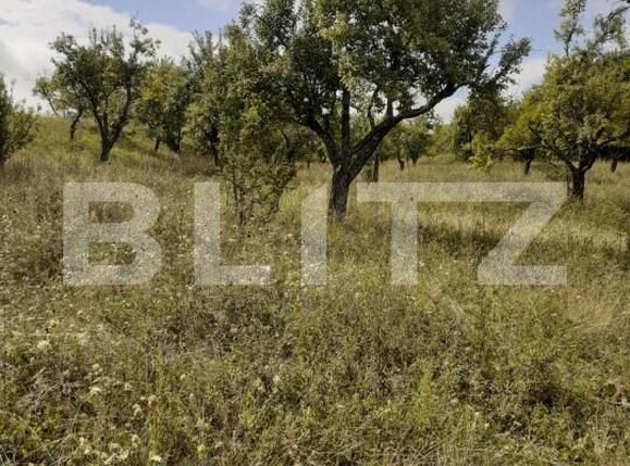 Teren de vânzare Central - 153154TV | BLITZ Pitești | Poza6