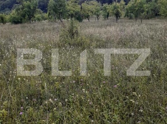 Teren de vânzare Central - 153154TV | BLITZ Pitești | Poza1