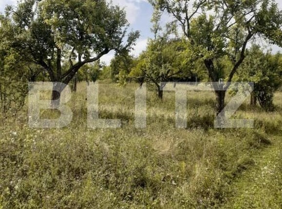 Teren de vânzare Central - 153154TV | BLITZ Pitești | Poza2