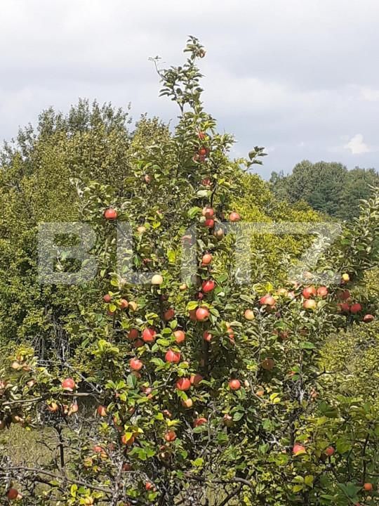 Teren de vânzare Central - 153154TV | BLITZ Pitești | Poza4