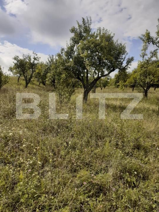 Teren de vânzare Central - 153154TV | BLITZ Pitești | Poza6