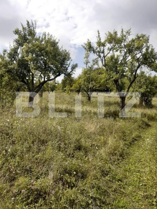 Teren de vânzare Central - 153154TV | BLITZ Pitești | Poza2