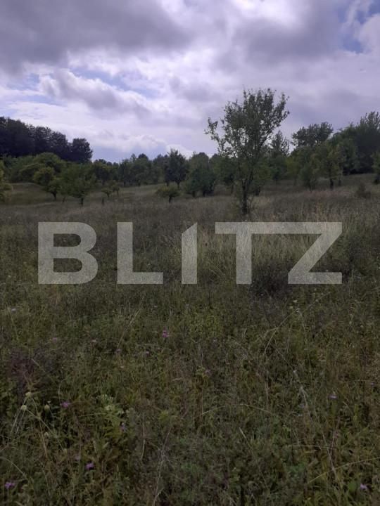 Teren de vânzare Central - 153154TV | BLITZ Pitești | Poza3