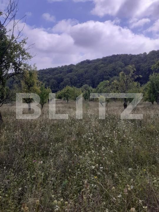 Teren de vânzare Central - 153154TV | BLITZ Pitești | Poza5