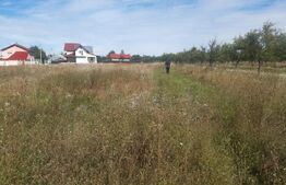 Teren intravilan, 3082 mp, Albota