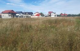 Teren intravilan, 3082 mp, Albota