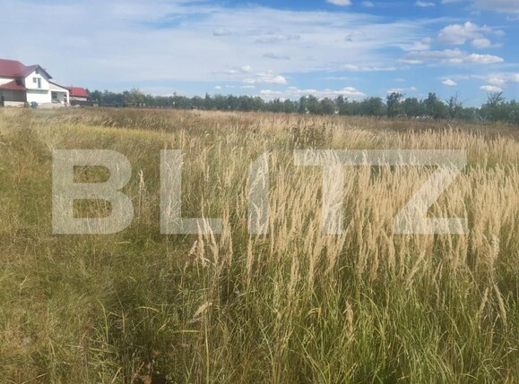 Teren de vânzare Albota - 153203TV | BLITZ Pitești | Poza3