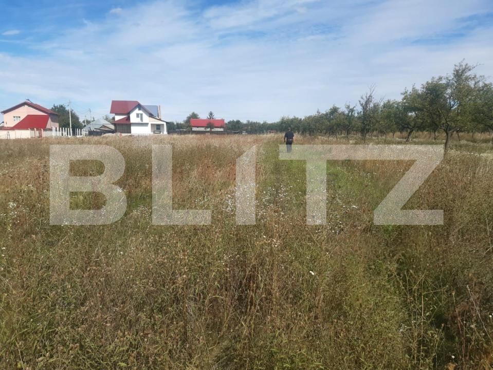 Teren de vânzare Albota - 153203TV | BLITZ Pitești | Poza2