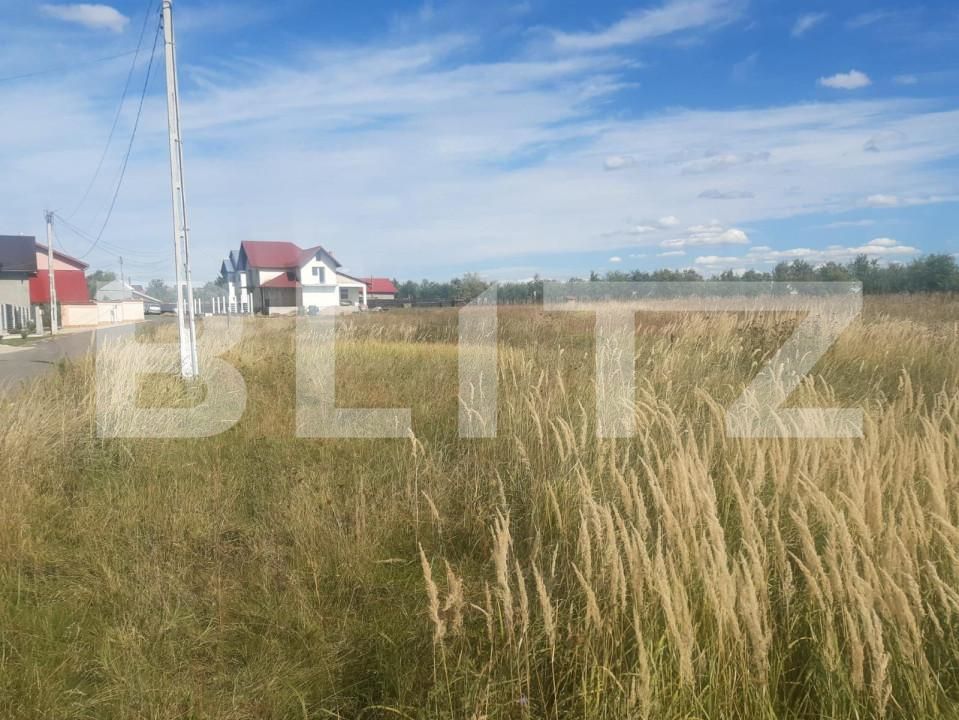 Teren de vânzare Albota - 153203TV | BLITZ Pitești | Poza4