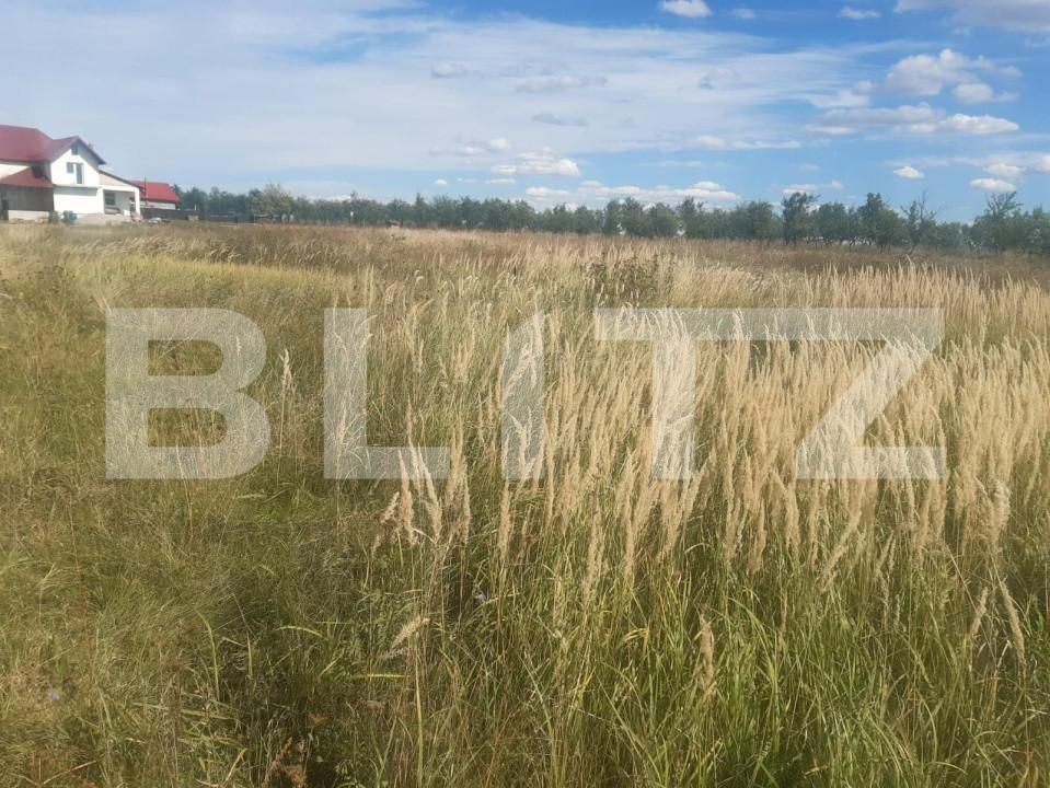 Teren de vânzare Albota - 153203TV | BLITZ Pitești | Poza3