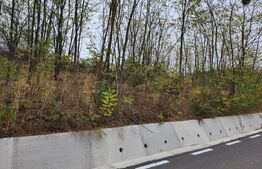 Teren, 4400 mp, zona Hintesti