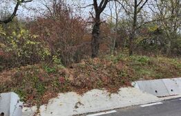 Teren, 4400 mp, zona Hintesti