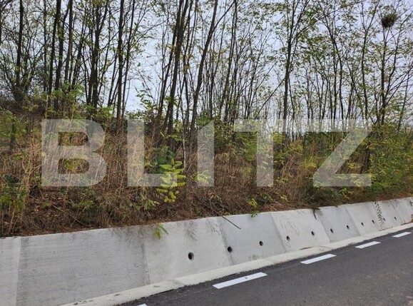 Teren de vânzare Central - 153589TV | BLITZ Pitești | Poza4