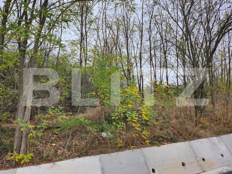 Teren de vânzare Central - 153589TV | BLITZ Pitești | Poza2