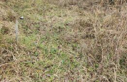 Teren de vanzare, 3960 mp, Smeura