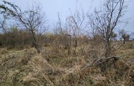 Teren de vanzare, 3960 mp, Smeura