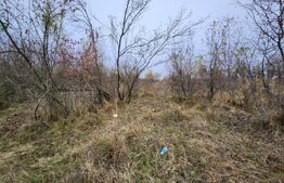 Teren de vanzare, 3960 mp, Smeura