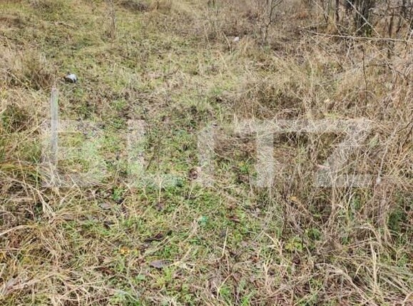 Teren de vânzare Central - 153590TV | BLITZ Pitești | Poza1