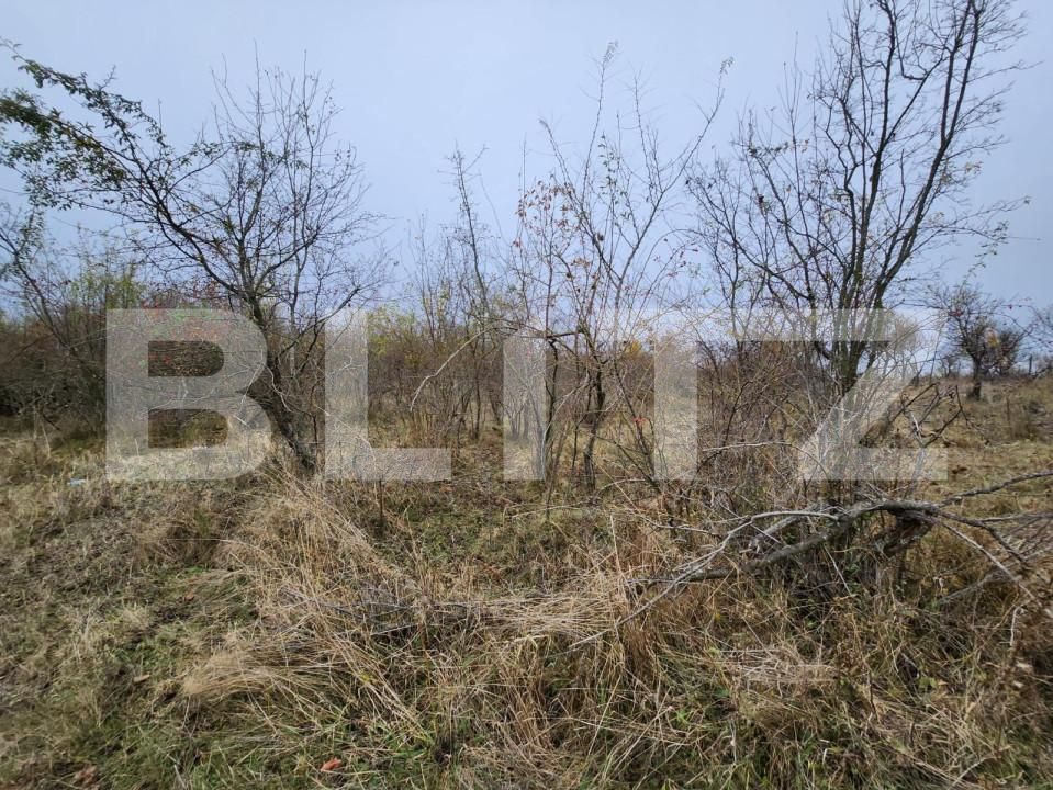 Teren de vânzare Central - 153590TV | BLITZ Pitești | Poza4