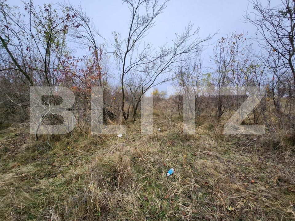 Teren de vânzare Central - 153590TV | BLITZ Pitești | Poza3