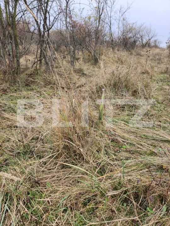 Teren de vânzare Central - 153590TV | BLITZ Pitești | Poza2