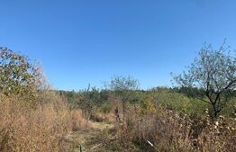 Teren, 7260 mp, zona Babana