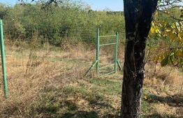 Teren, 7260 mp, zona Babana