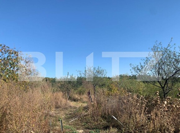 Teren de vânzare Central - 153611TV | BLITZ Pitești | Poza4