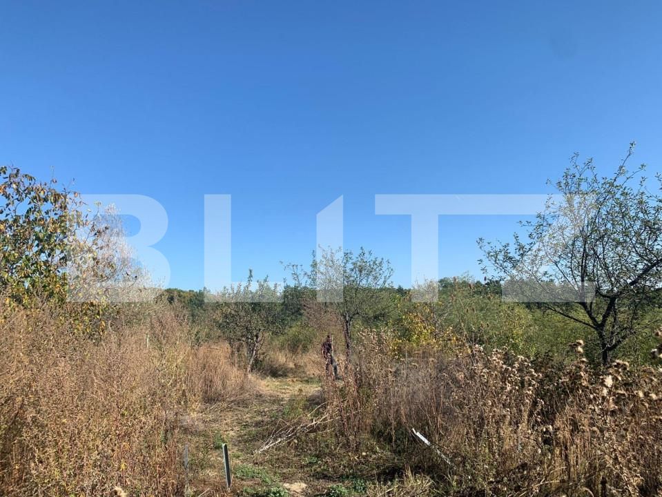 Teren de vânzare Central - 153611TV | BLITZ Pitești | Poza4