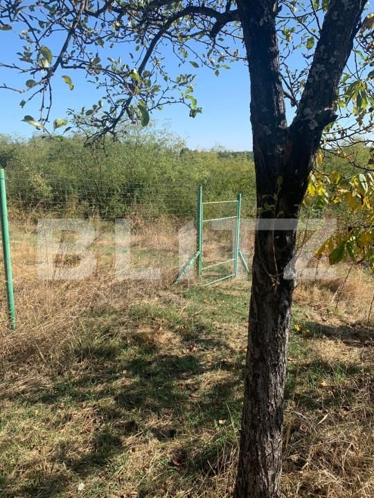 Teren de vânzare Central - 153611TV | BLITZ Pitești | Poza2