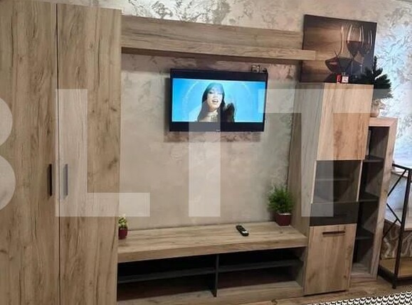 Garsonieră de vânzare Prundu - 155037AV | BLITZ Pitești | Poza2