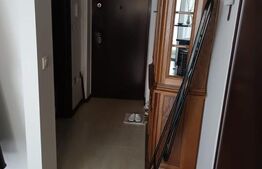 Studio de vanzare, 45 mp, Pitesti, CRAIOVEI