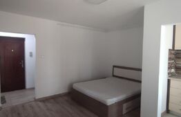 Garsoniera de vanzare, 34 mp, Pitesti, NORD