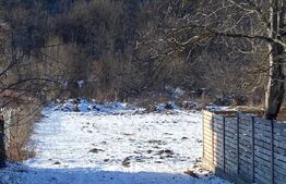 Teren, 1500mp, Hintesti 