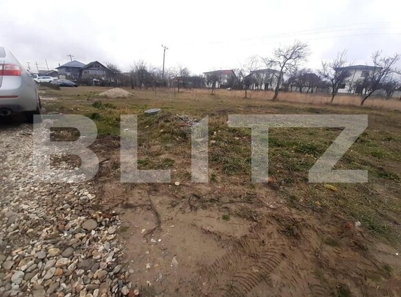 Teren de vânzare Bradu - 157285TV | BLITZ Pitești | Poza2