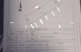 Teren 1000 mp - Geamăna