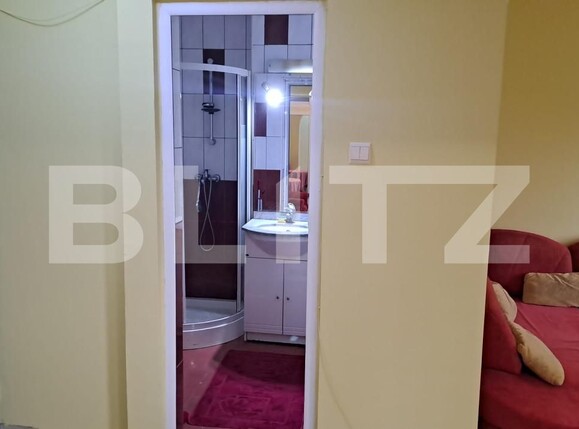 Garsonieră de închiriat Trivale - 157577AI | BLITZ Pitești | Poza5