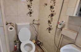 Apartament 2 camere, zona Trivale