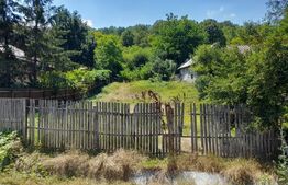 Teren Intravilan, 1195 mp, zona Bascov