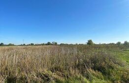 Teren Intravilan, 9078 mp, zona Stefanesti