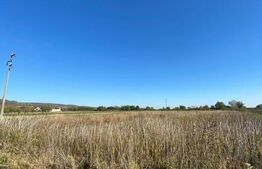 Teren Intravilan, 9078 mp, zona Stefanesti