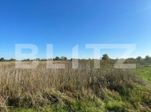 Teren de vânzare Est - 159432TV | BLITZ Pitești | Poza3