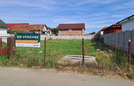 Teren 1000 mp în Geamăna, Zona Târg Săptămânal