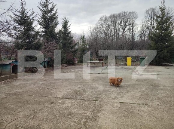 Casa de vânzare 4 camere Exterior Est - 159781CV | BLITZ Pitești | Poza3